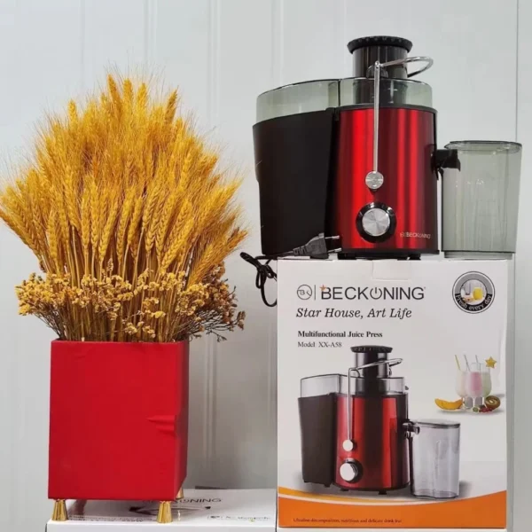Stainless Steel Juice Extractor
